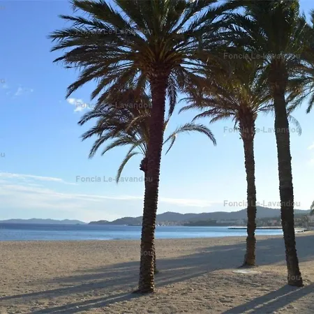 Studio 2 Couchages A 20m De La Plage Avec Balcon Et Store Solaire - - Fr-1-251-224 *